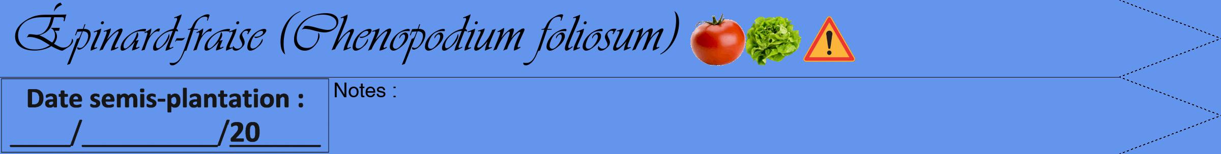 Étiquette de : Chenopodium foliosum - format a - style noire4simpleviv avec comestibilité simplifiée