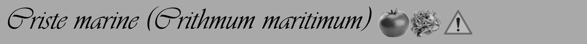 Étiquette de : Crithmum maritimum - format a - style noire13viv avec comestibilité simplifiée