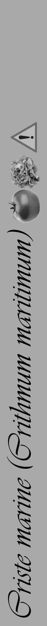 Étiquette de : Crithmum maritimum - format a - style noire13viv avec comestibilité simplifiée - position verticale