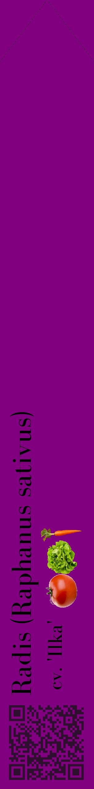 Étiquette de : Raphanus sativus cv. 'Ilka' - format c - style noire46_simplebod avec qrcode et comestibilité simplifiée