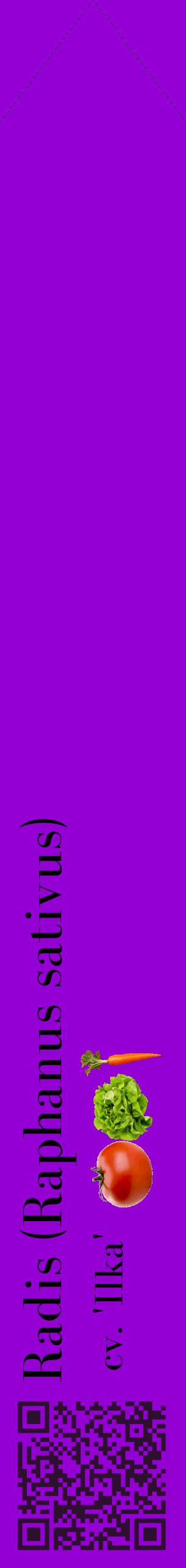 Étiquette de : Raphanus sativus cv. 'Ilka' - format c - style noire48_simplebod avec qrcode et comestibilité simplifiée