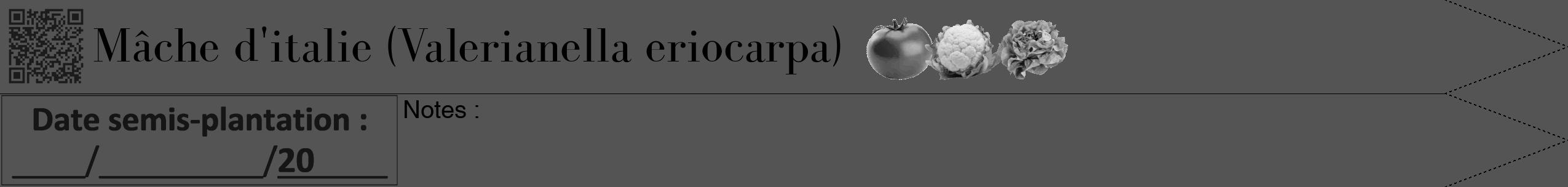 Étiquette de : Valerianella eriocarpa - format b - style noire36simplebod avec qrcode et comestibilité simplifiée