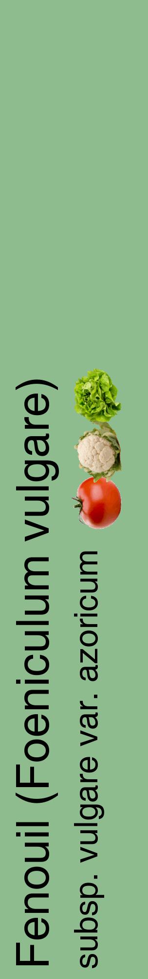 Étiquette de : Foeniculum vulgare subsp. vulgare var. azoricum - format c - style noire13_basiquehel avec comestibilité simplifiée
