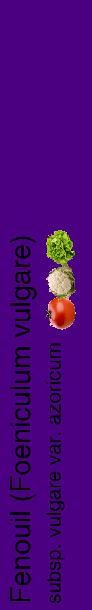 Étiquette de : Foeniculum vulgare subsp. vulgare var. azoricum - format c - style noire47_basiquehel avec comestibilité simplifiée