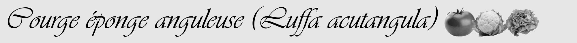 Étiquette de : Luffa acutangula - format a - style noire18viv avec comestibilité simplifiée
