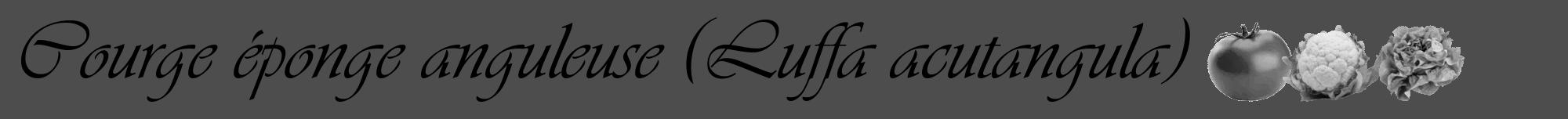 Étiquette de : Luffa acutangula - format a - style noire28viv avec comestibilité simplifiée