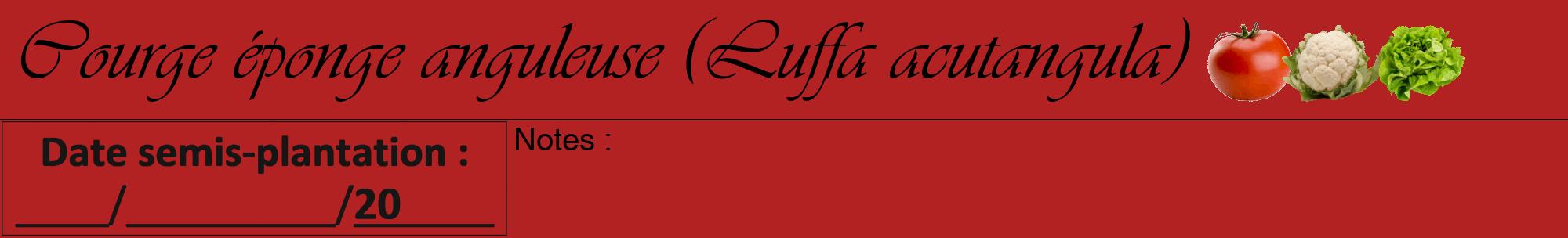 Étiquette de : Luffa acutangula - format a - style noire28viv avec comestibilité simplifiée