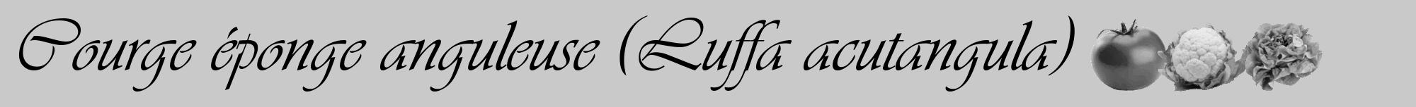 Étiquette de : Luffa acutangula - format a - style noire54viv avec comestibilité simplifiée