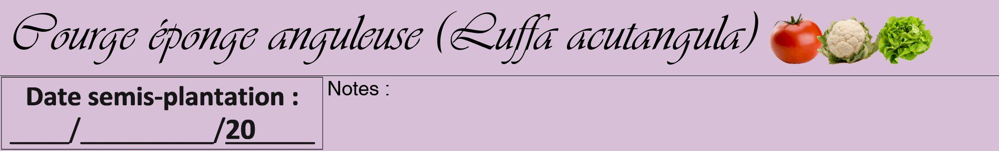 Étiquette de : Luffa acutangula - format a - style noire54viv avec comestibilité simplifiée