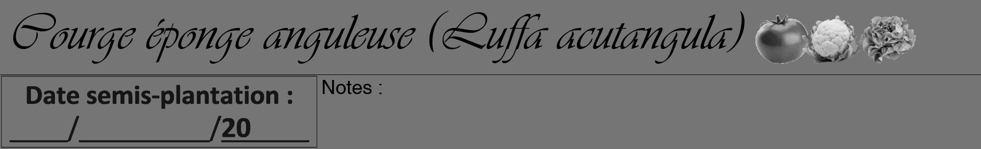 Étiquette de : Luffa acutangula - format a - style noire5viv avec comestibilité simplifiée