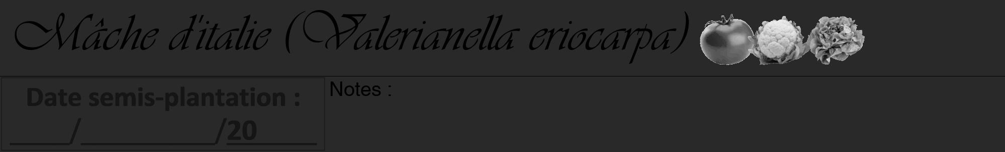 Étiquette de : Valerianella eriocarpa - format a - style noire34viv avec comestibilité simplifiée