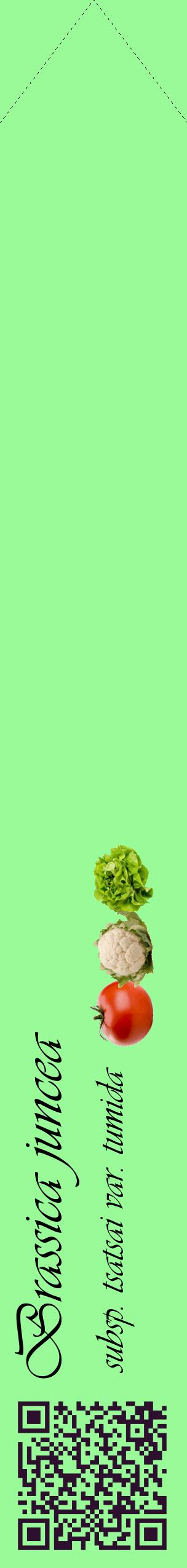 Étiquette de : Brassica juncea subsp. tsatsai var. tumida - format c - style noire14_simpleviv avec qrcode et comestibilité simplifiée