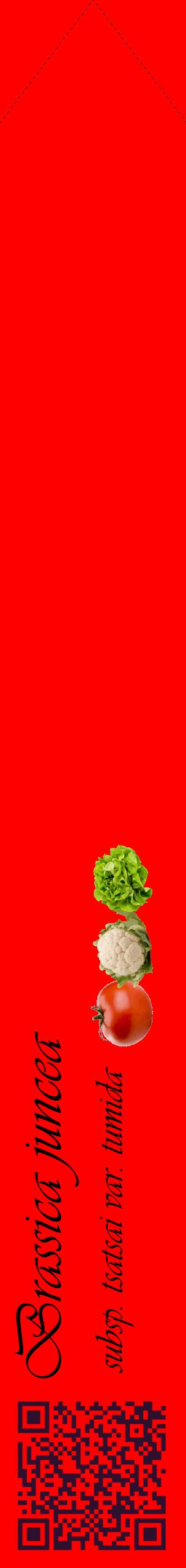 Étiquette de : Brassica juncea subsp. tsatsai var. tumida - format c - style noire27_simpleviv avec qrcode et comestibilité simplifiée
