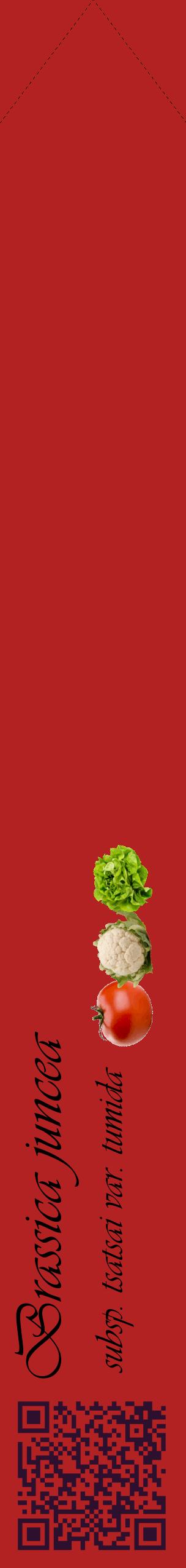 Étiquette de : Brassica juncea subsp. tsatsai var. tumida - format c - style noire28_simpleviv avec qrcode et comestibilité simplifiée