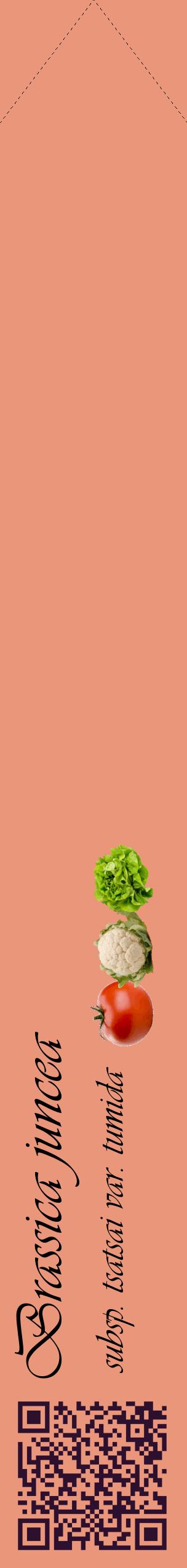 Étiquette de : Brassica juncea subsp. tsatsai var. tumida - format c - style noire37_simpleviv avec qrcode et comestibilité simplifiée