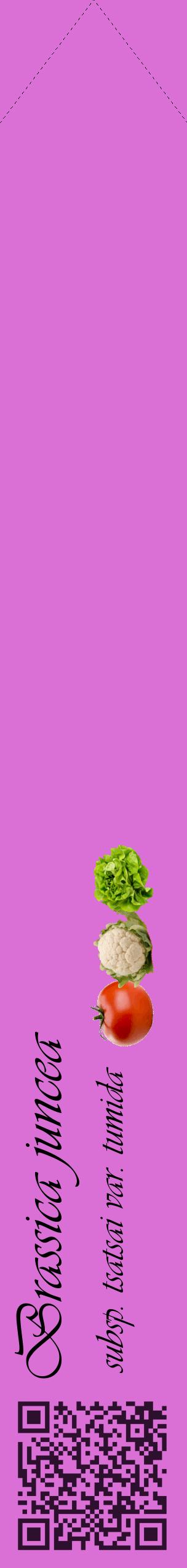 Étiquette de : Brassica juncea subsp. tsatsai var. tumida - format c - style noire52_simpleviv avec qrcode et comestibilité simplifiée