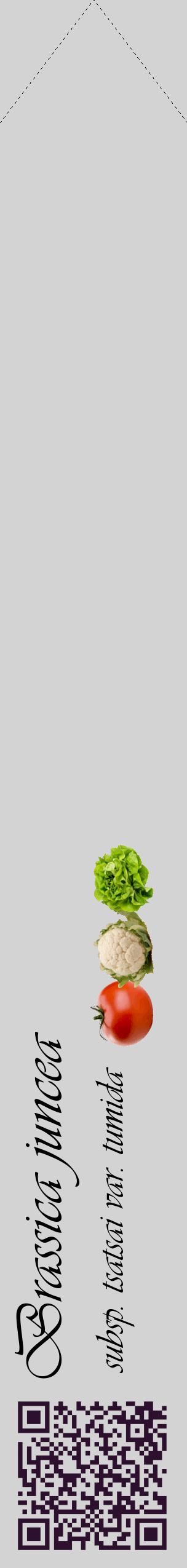 Étiquette de : Brassica juncea subsp. tsatsai var. tumida - format c - style noire56_simpleviv avec qrcode et comestibilité simplifiée