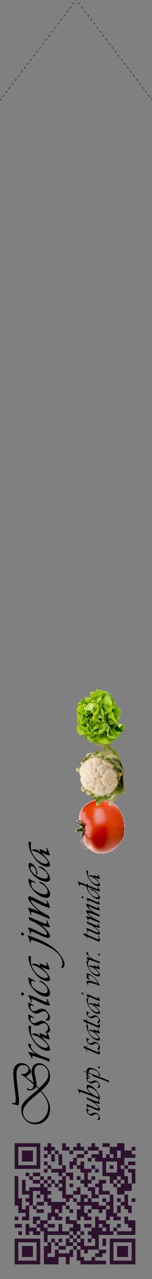 Étiquette de : Brassica juncea subsp. tsatsai var. tumida - format c - style noire57_simpleviv avec qrcode et comestibilité simplifiée
