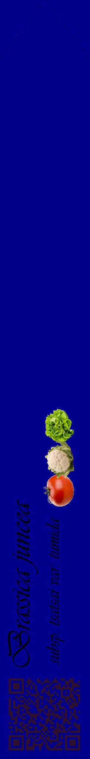 Étiquette de : Brassica juncea subsp. tsatsai var. tumida - format c - style noire7_simpleviv avec qrcode et comestibilité simplifiée