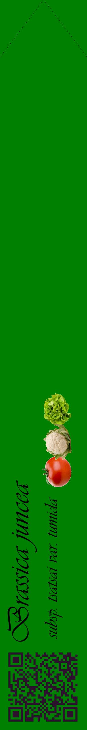Étiquette de : Brassica juncea subsp. tsatsai var. tumida - format c - style noire9_simpleviv avec qrcode et comestibilité simplifiée