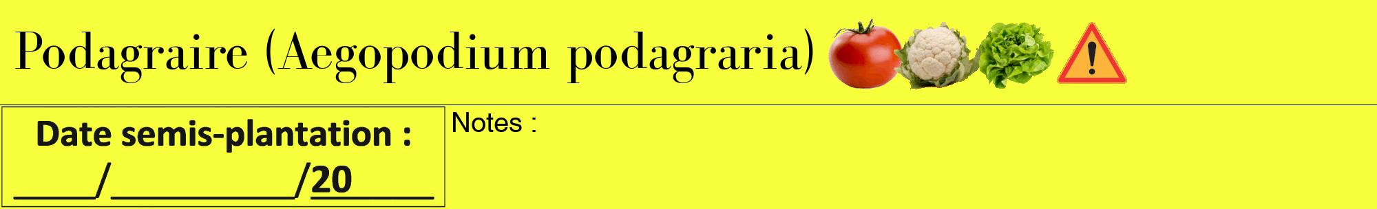 Étiquette de : Aegopodium podagraria - format a - style noire18bod avec comestibilité simplifiée
