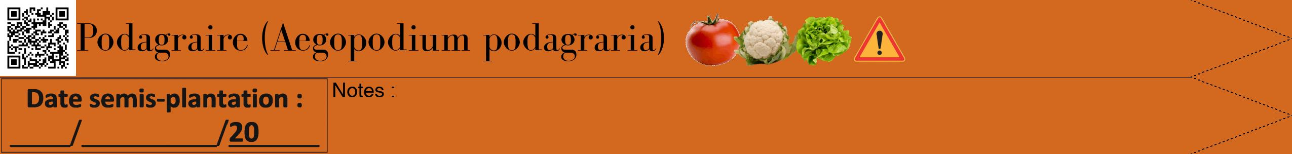 Étiquette de : Aegopodium podagraria - format b - style noire31bod avec qrcode et comestibilité simplifiée
