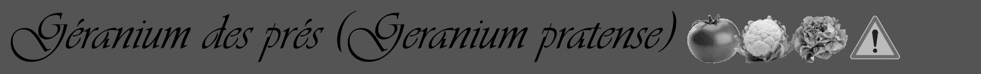 Étiquette de : Geranium pratense - format a - style noire36viv avec comestibilité simplifiée