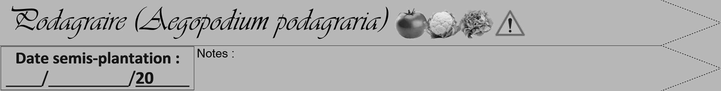 Étiquette de : Aegopodium podagraria - format b - style noire39viv avec comestibilité simplifiée