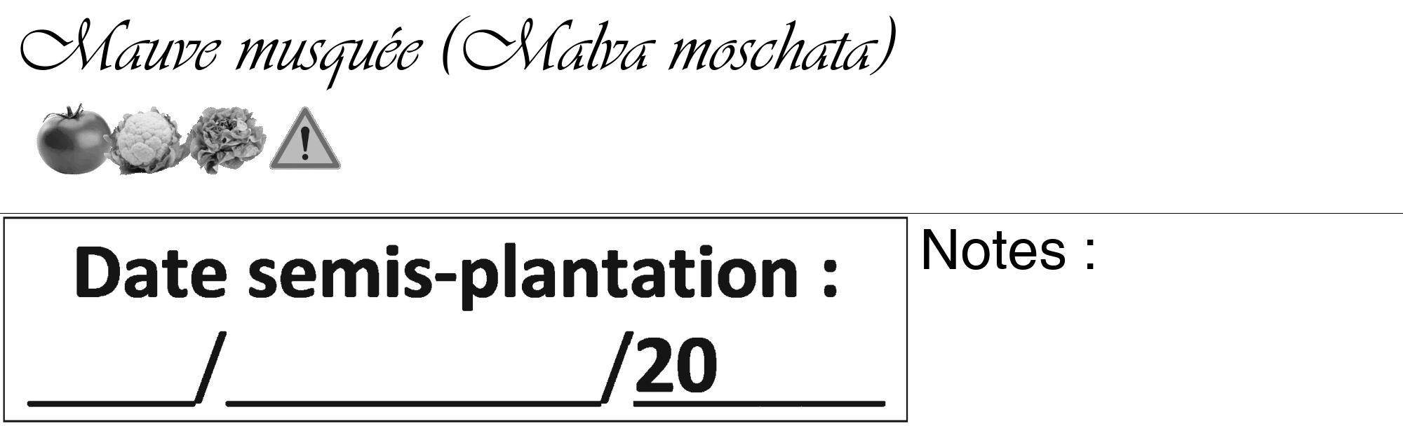 Étiquette de : Malva moschata - format c - style noire60_basique_basiqueviv avec comestibilité simplifiée