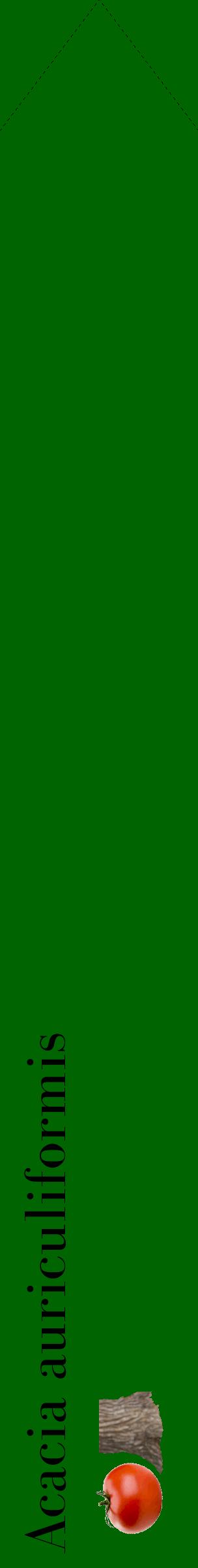 Étiquette de : Acacia auriculiformis - format c - style noire8_simplebod avec comestibilité simplifiée