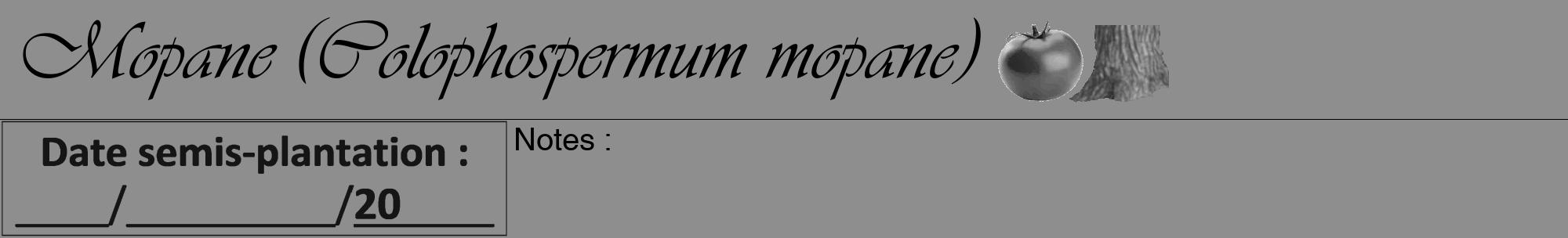 Étiquette de : Colophospermum mopane - format a - style noire25viv avec comestibilité simplifiée