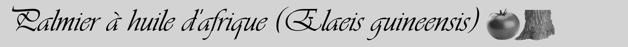 Étiquette de : Elaeis guineensis - format a - style noire56viv avec comestibilité simplifiée