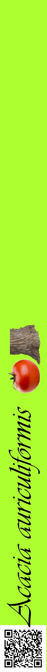 Étiquette de : Acacia auriculiformis - format a - style noire17viv avec qrcode et comestibilité simplifiée