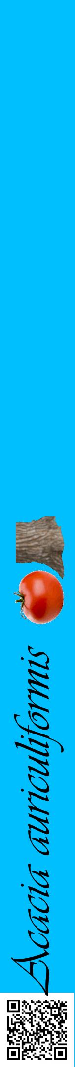 Étiquette de : Acacia auriculiformis - format a - style noire2viv avec qrcode et comestibilité simplifiée