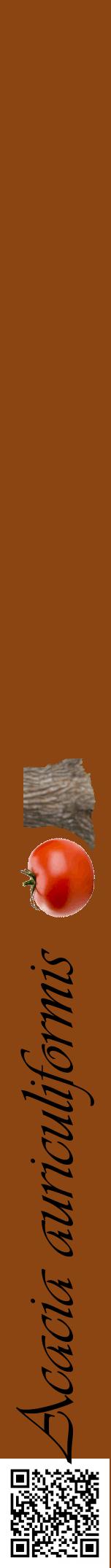 Étiquette de : Acacia auriculiformis - format a - style noire30viv avec qrcode et comestibilité simplifiée