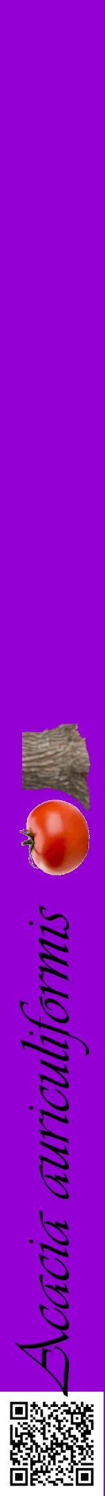 Étiquette de : Acacia auriculiformis - format a - style noire48viv avec qrcode et comestibilité simplifiée