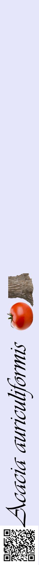 Étiquette de : Acacia auriculiformis - format a - style noire55viv avec qrcode et comestibilité simplifiée