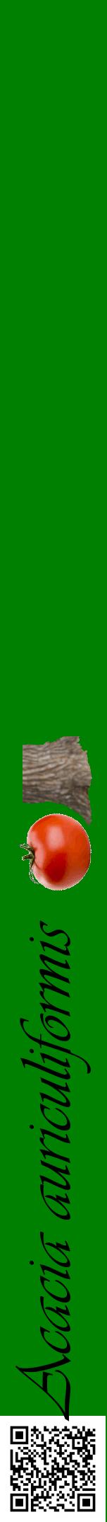 Étiquette de : Acacia auriculiformis - format a - style noire9viv avec qrcode et comestibilité simplifiée