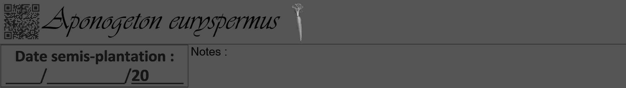 Étiquette de : Aponogeton euryspermus - format a - style noire30viv avec qrcode et comestibilité simplifiée