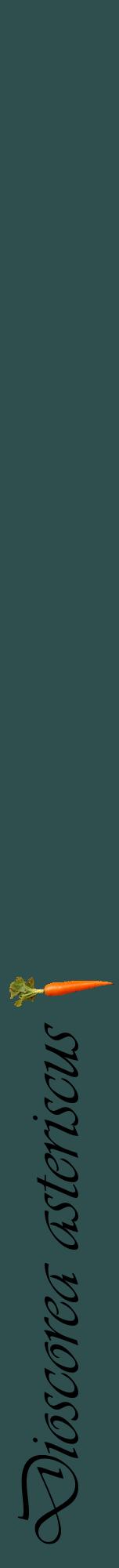 Étiquette de : Dioscorea asteriscus - format a - style noire58viv avec comestibilité simplifiée