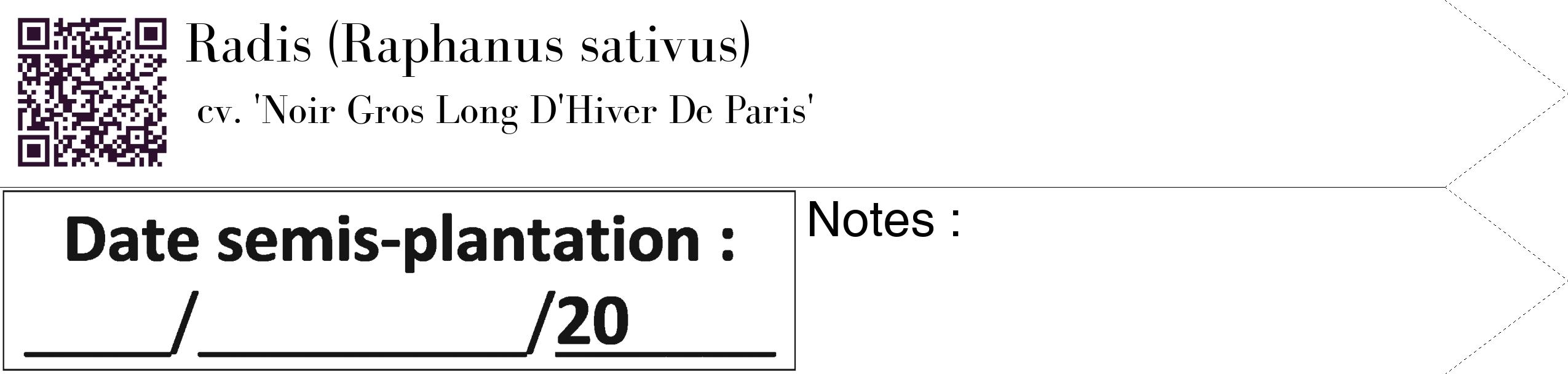 Étiquette de : Raphanus sativus cv. 'Noir Gros Long D'Hiver De Paris' - format c - style noire60_simple_simplebod avec qrcode et comestibilité