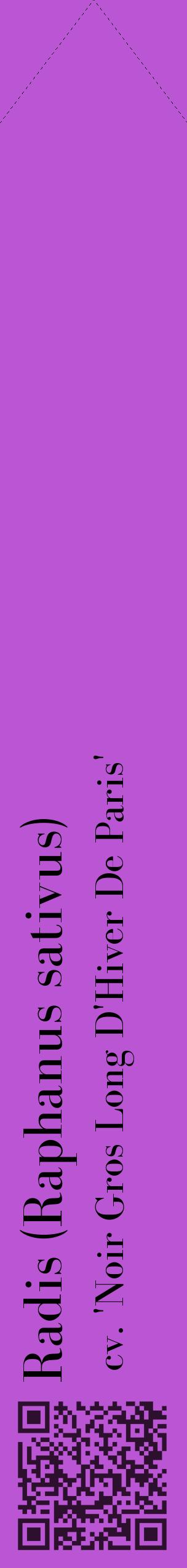 Étiquette de : Raphanus sativus cv. 'Noir Gros Long D'Hiver De Paris' - format c - style noire50_simplebod avec qrcode et comestibilité