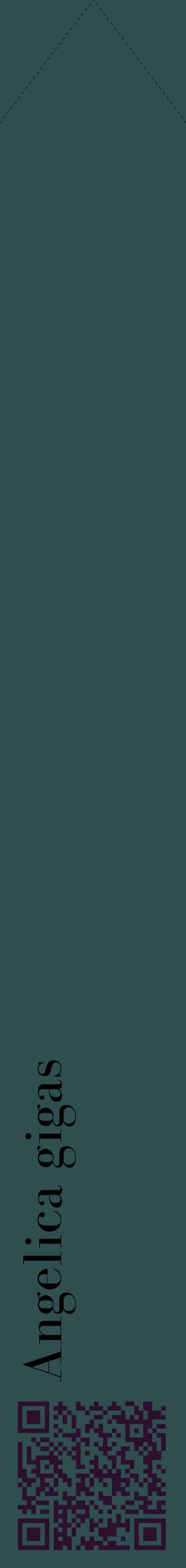 Étiquette de : Angelica gigas - format c - style noire58_simplebod avec qrcode et comestibilité