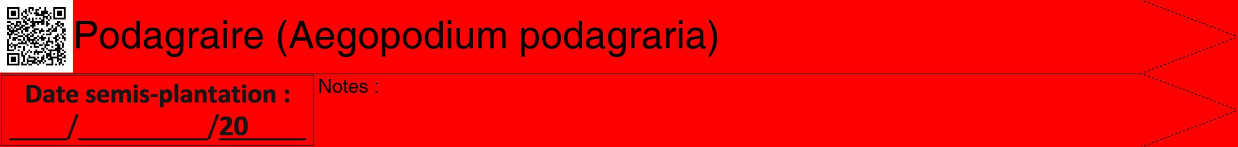 Étiquette de : Aegopodium podagraria - format b - style noire27hel avec qrcode et comestibilité