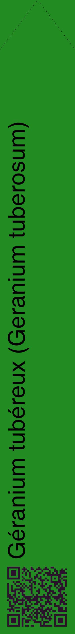 Étiquette de : Geranium tuberosum - format c - style noire10_simplehel avec qrcode et comestibilité