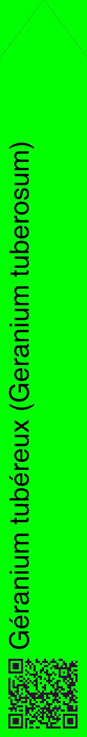 Étiquette de : Geranium tuberosum - format c - style noire16_simplehel avec qrcode et comestibilité