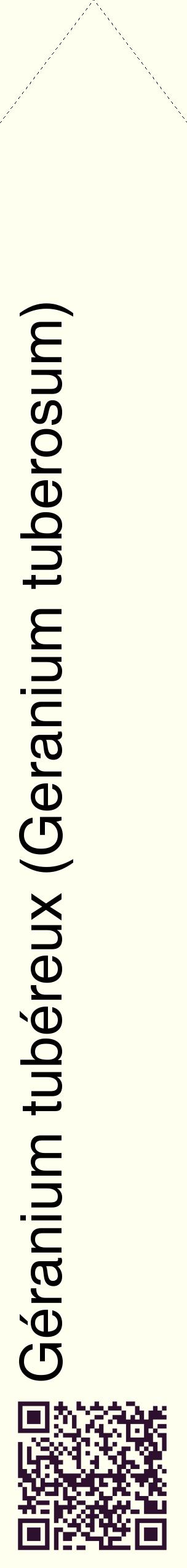 Étiquette de : Geranium tuberosum - format c - style noire19_simplehel avec qrcode et comestibilité
