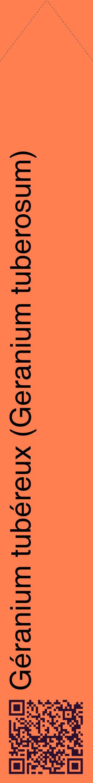 Étiquette de : Geranium tuberosum - format c - style noire24_simplehel avec qrcode et comestibilité