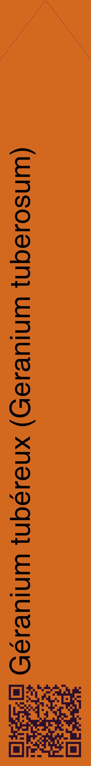 Étiquette de : Geranium tuberosum - format c - style noire31_simplehel avec qrcode et comestibilité