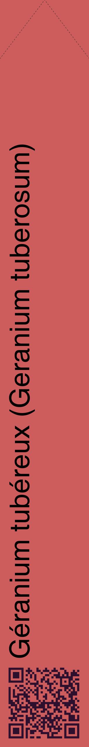 Étiquette de : Geranium tuberosum - format c - style noire35_simplehel avec qrcode et comestibilité